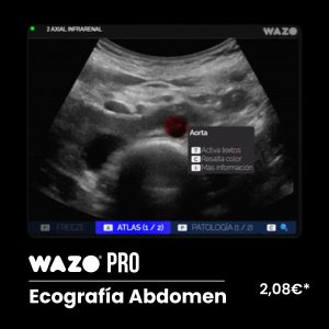 WAZO PRO – Abdomen