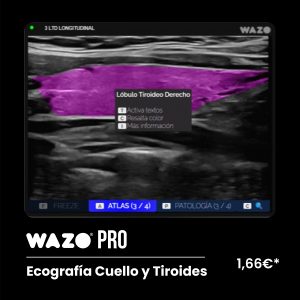 WAZO PRO – Cuello & Tiroides