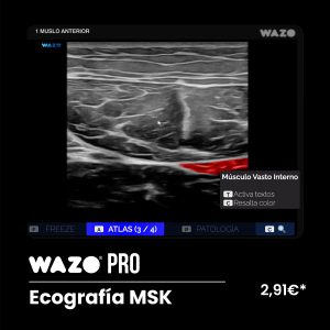 WAZO PRO – MSK