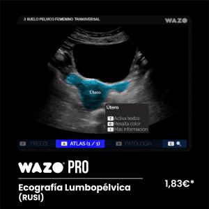 WAZO PRO – Lumbopélvica (RUSI)